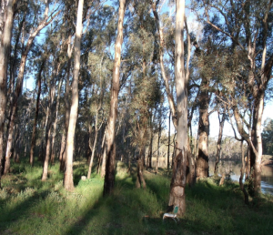 Screen Shot 2014-04-17 at 10.09.06 PM