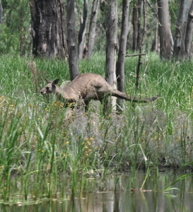 Screen Shot 2014-08-08 at 8.07.15 AM