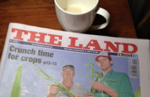 Last week's The Land 